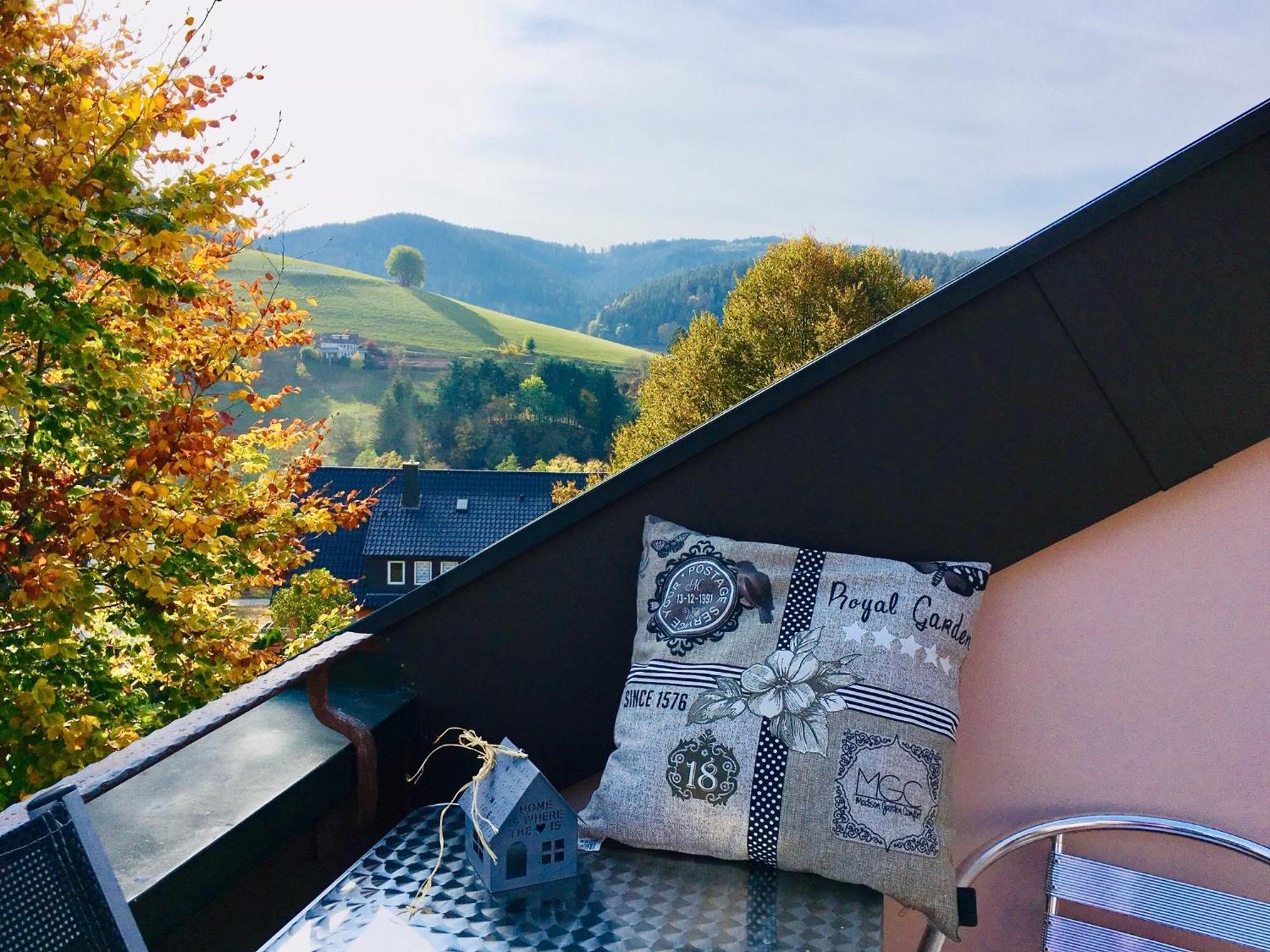 Goldener Hahn B&B Baiersbronn - Ferienwohnungen Mit Hotel Service Nahe Gartenschau Tal X חדר תמונה