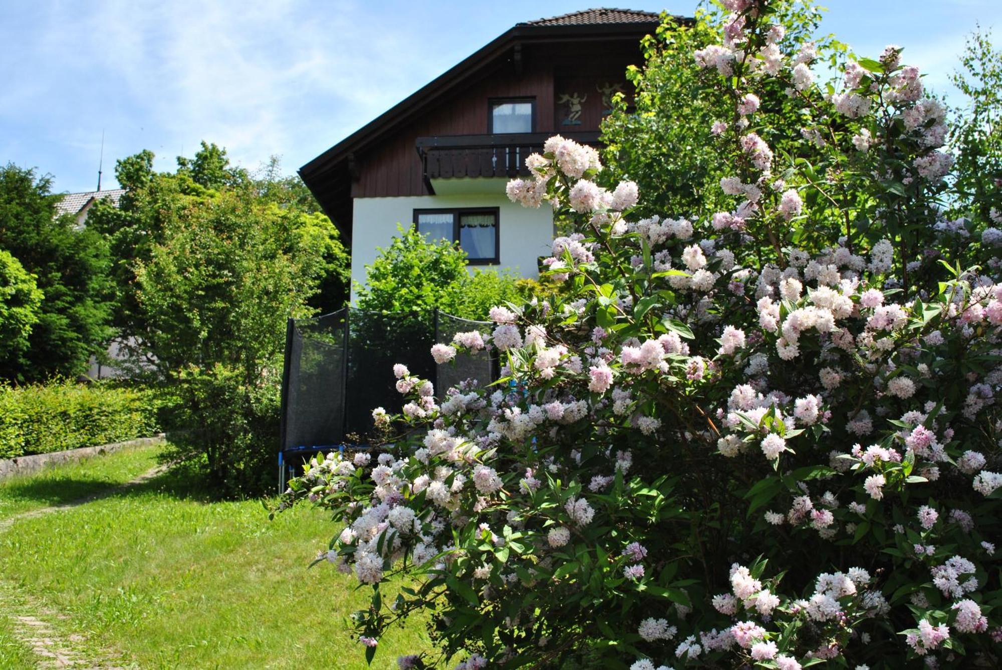 Goldener Hahn B&B Baiersbronn - Ferienwohnungen Mit Hotel Service Nahe Gartenschau Tal X חדר תמונה